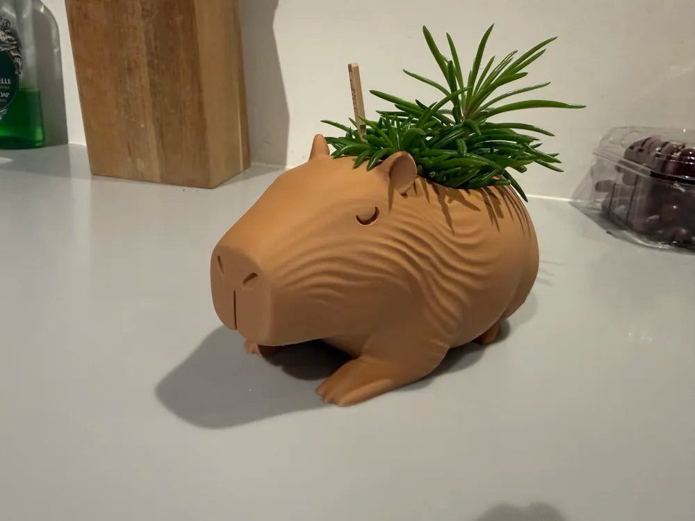Capybara Planter