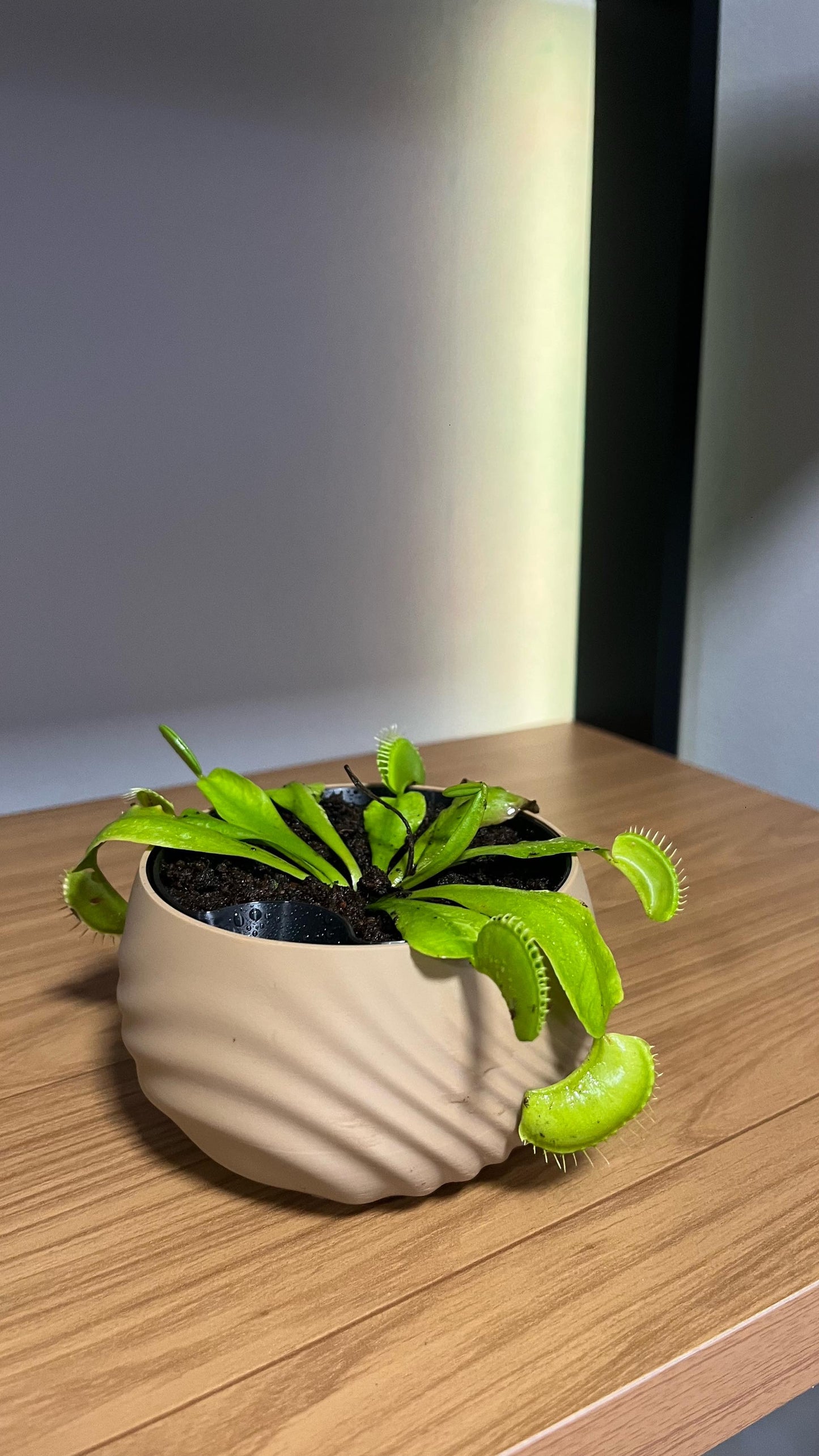 Stillwater Planter